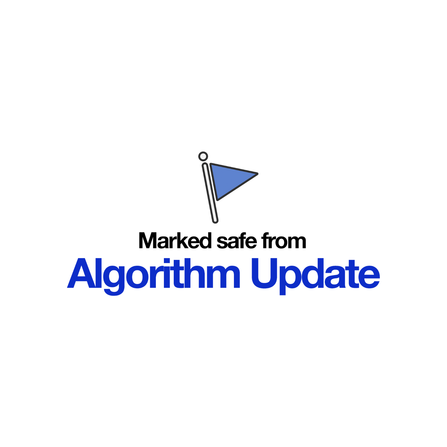 Marked Safe From Algorithm Update SEO T-Shirt