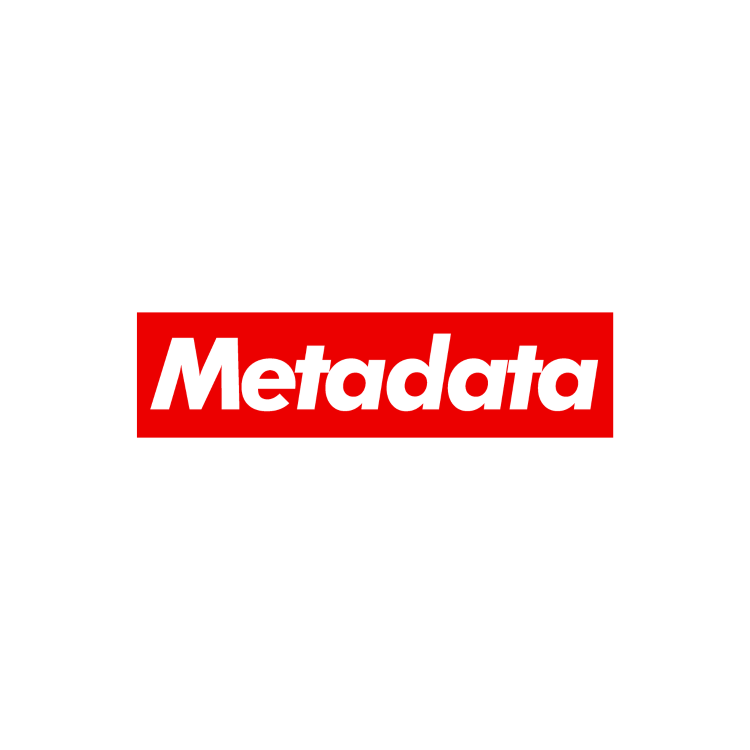 Metadata SEO T-Shirt